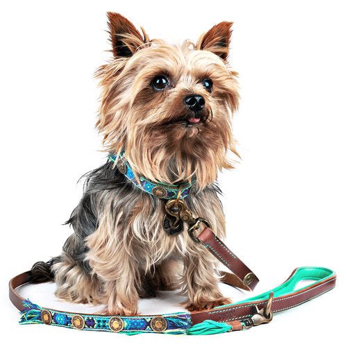 Laisse cuir Boho Juan - DOG WITH A MISSION - DOG DéliCAT