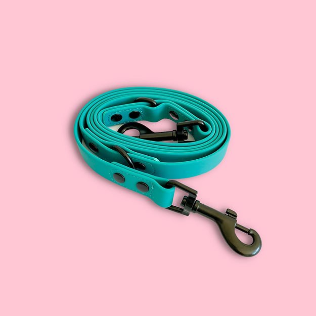 Laisse imperméable pour chien - Gummy Teal - ARIZONA HOT DOGS - DOG DéliCAT