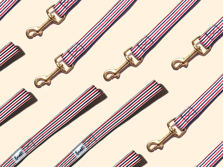 Laisse 120cm - The French Banban
