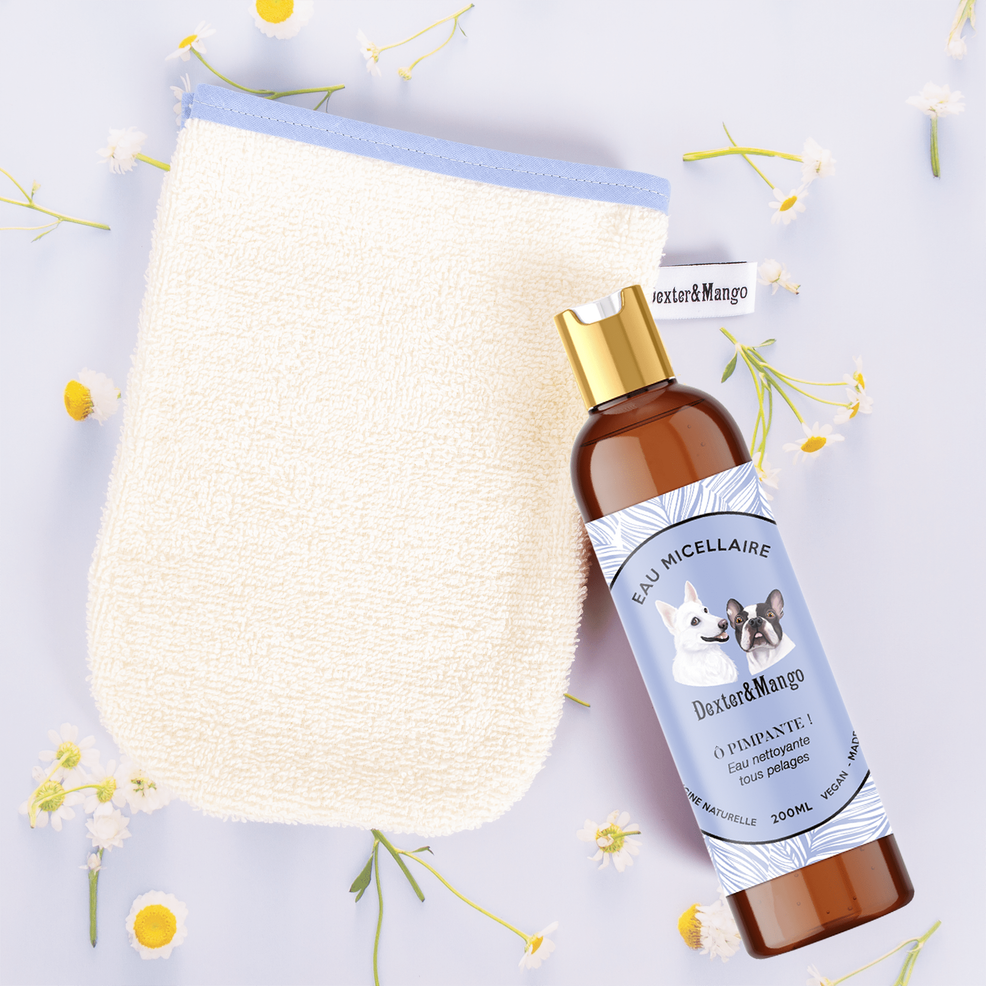 L'eau ô pimpante ! - DEXTER & MANGO - DOG DéliCAT