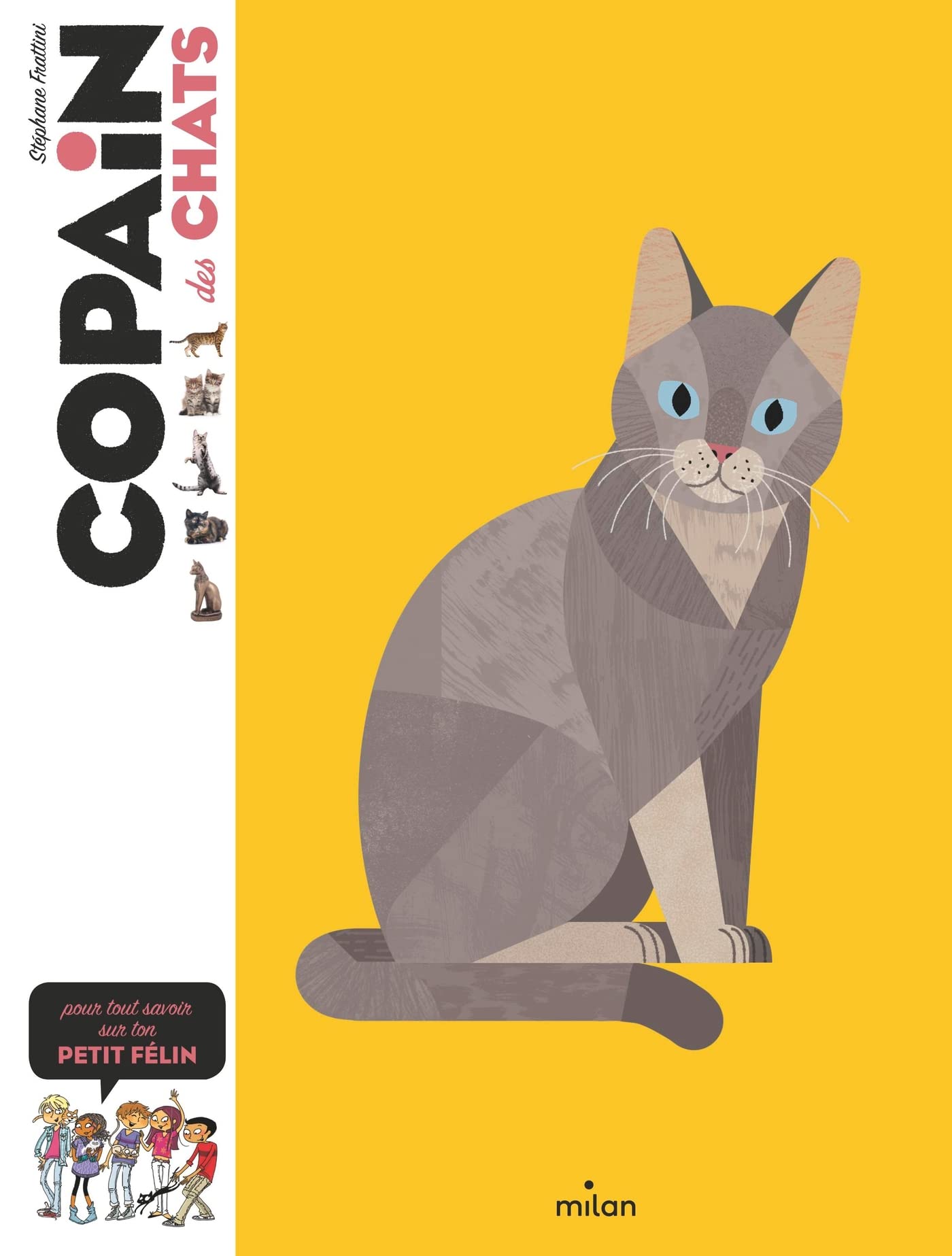 Livre enfant chat Copain des chats - Stéphane Frattini - DOG DéliCAT
