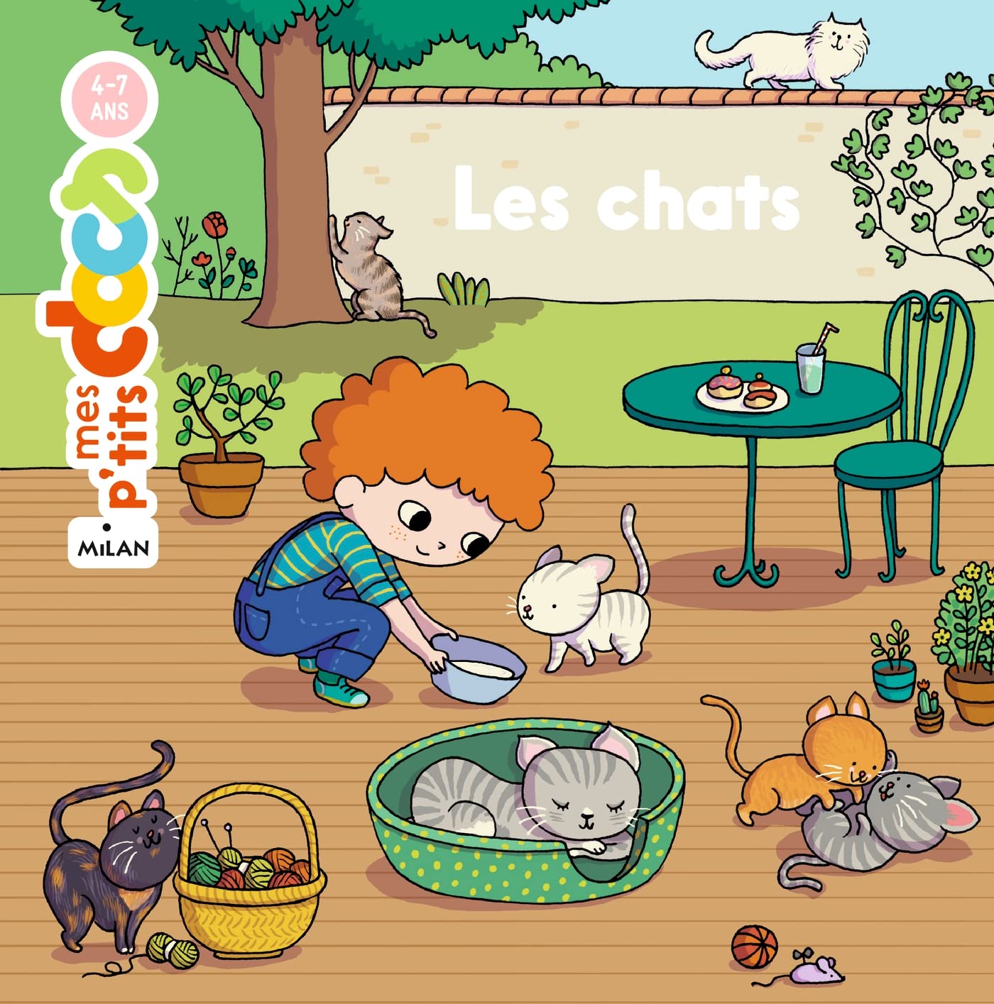 Livre enfant chat Les Chats Mes P’tits Docs - Stéphanie Ledu - DOG DéliCAT