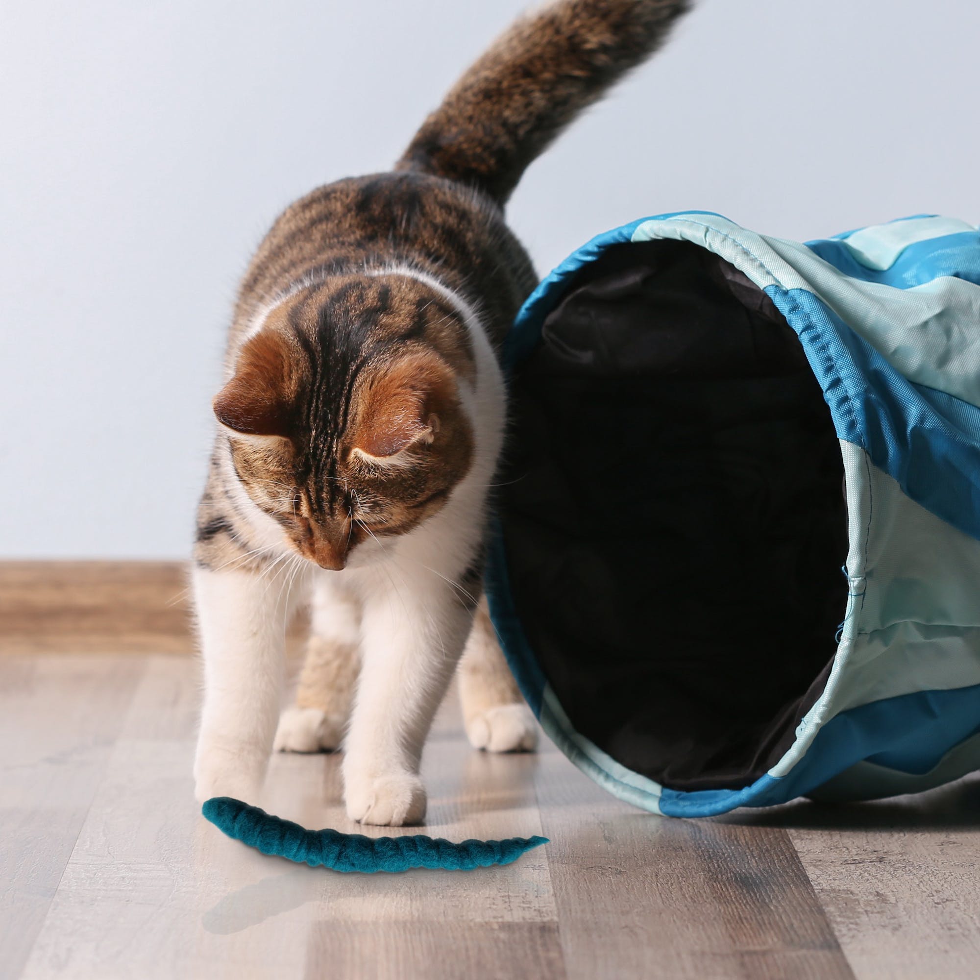Lot de 3 vers de feutre roulés à la main en pure laine vierge - KATER KASIMIR - DOG DéliCAT