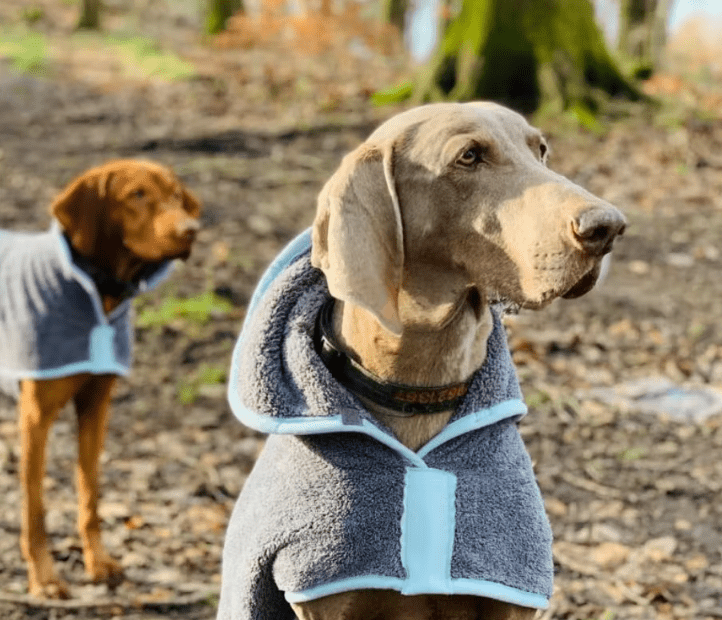 Peignoir en microfibre - HENRY WAG - DOG DéliCAT