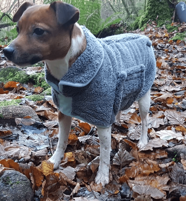 Peignoir en microfibre - HENRY WAG - DOG DéliCAT