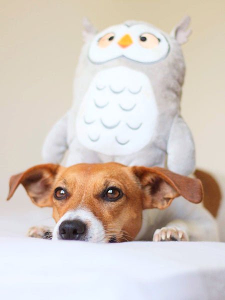 Peluche Molly la Chouette - INOOKO - DOG DéliCAT