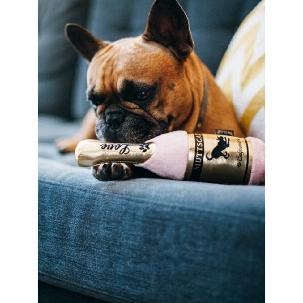 Peluche pour chien Puppy Love - Barking Bubbly - PET PLAY - DOG DéliCAT