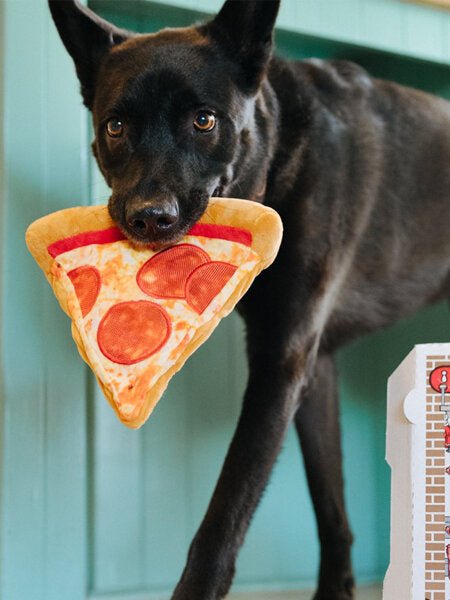 Peluche pour chien Snack Attack Collection - Pizza - PET PLAY - DOG DéliCAT
