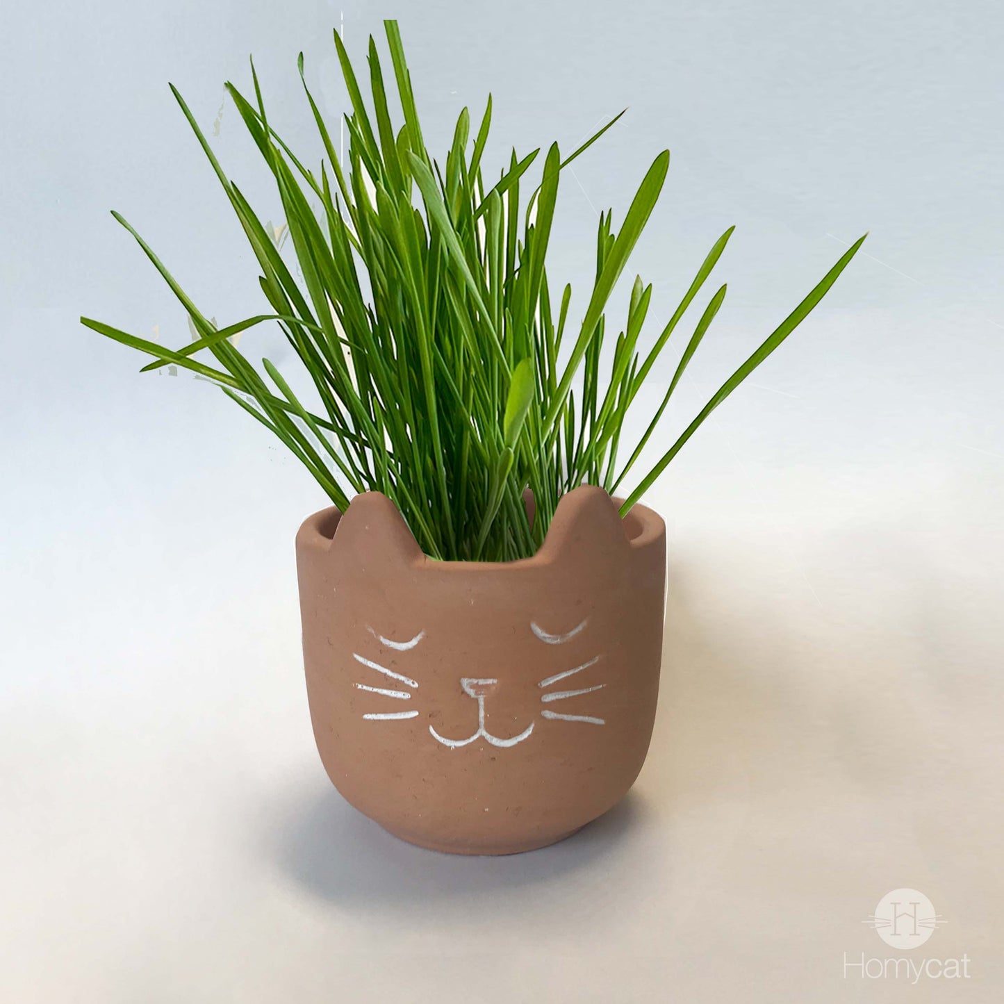 Pots "tête de chat" avec 2 Sachets 10G d'herbe à chat française