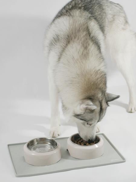 Tapis de gamelle gris - INOOKO - DOG DéliCAT