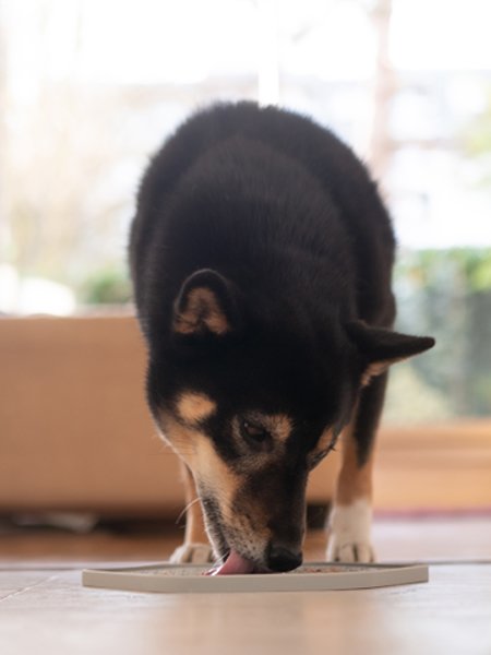 Tapis de léchage - Gris - INOOKO - DOG DéliCAT